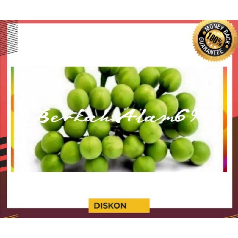 

Buah Takokak segar fres 250gr