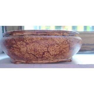pot bonsai bulat Shopee Indonesia pot bonsai bulat Shopee Indonesia
