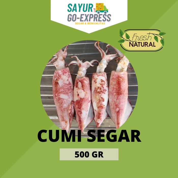 

cumi segar seafood 1kg