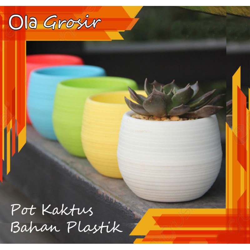 Pot kaktus pot bola pot bunga pot kecil pot mini pot minimalis