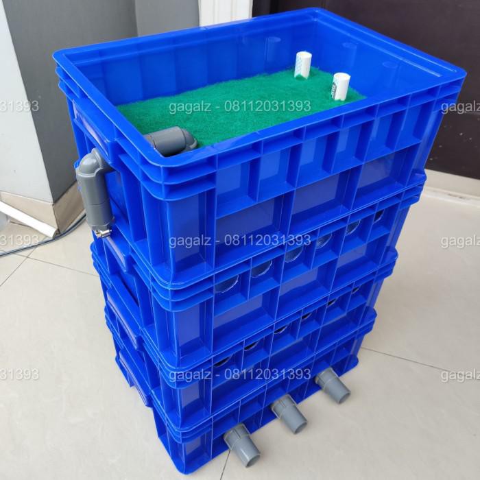 Harga Filter Kolam Ikan Koi Terbaru April 2021 Biggo Indonesia