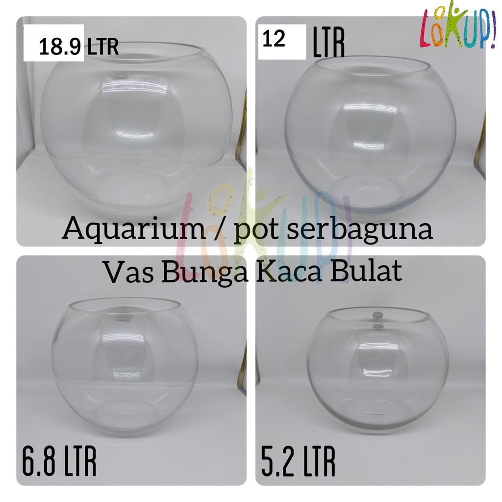 JUMBO AQUARIUM BULAT/FISH BOWL /FISH BALL/Pot Tanaman Air Hidroponik Hias/Tempat Ikan /vas bunga hias / tempat kaca bulat serbaguna