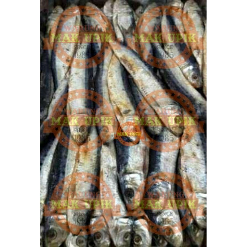 

ikan asin japu layang , ikan japu layang asin 250 gr dan 500 gr