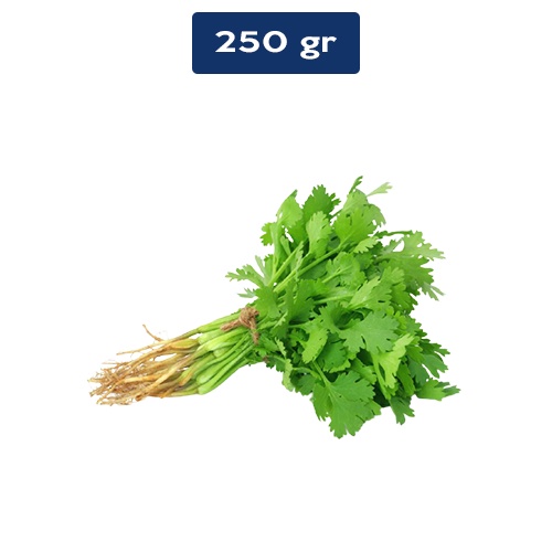 

Daun Ketumbar 250 gr