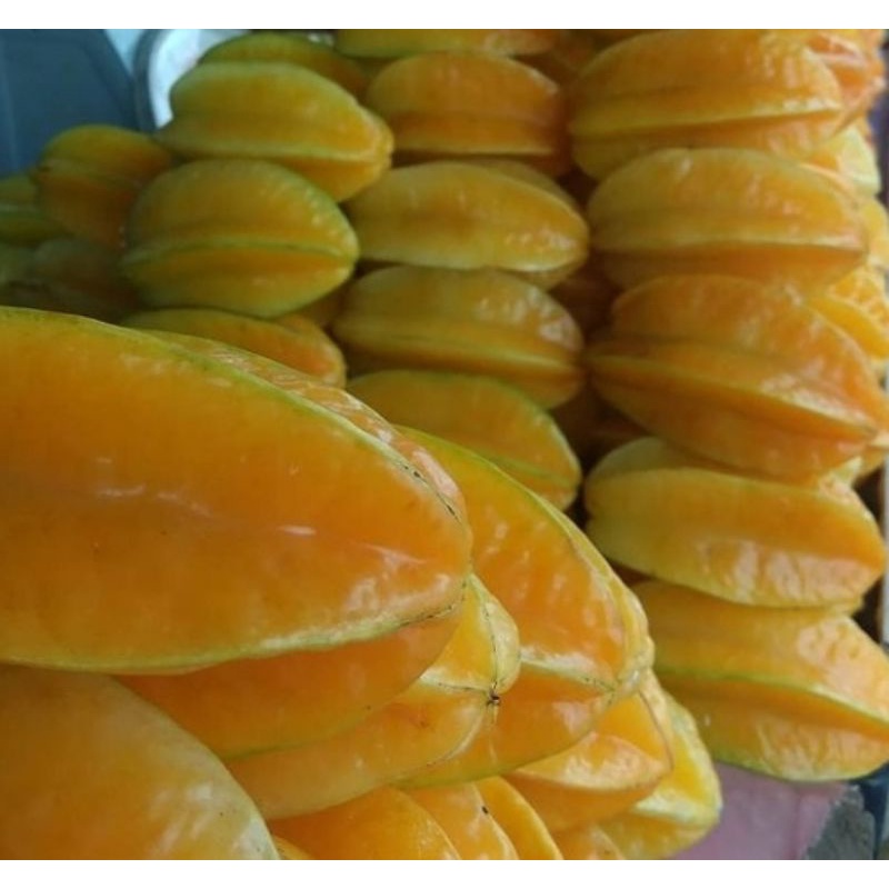

BELIMBING DEWI 1KG/BUAH BELIMBING DEWI MANIS FRESH