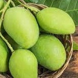 

Mangga Muda 1kg/ Mangga Asam/ Mangga Rujak