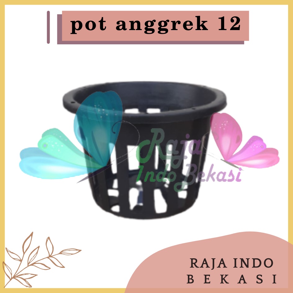 Pot Anggrek 12 Hitam Pot Plastik Bunga Anggrek Orchid 12 Cm Pot Anggrek Plastik Hitam Grosir Murah