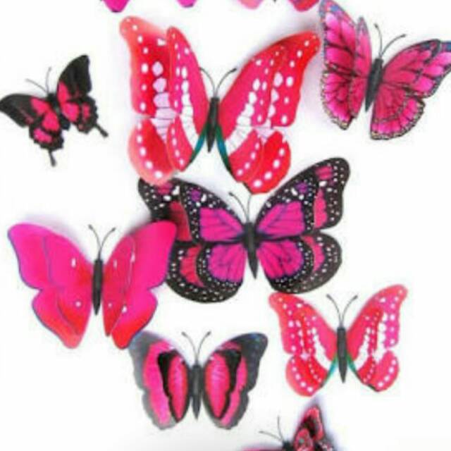 Kupu2 3D stiker dinding