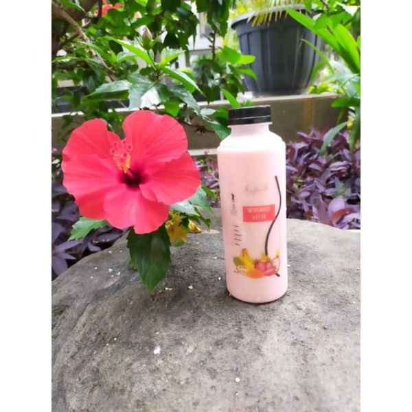 

Kefir Probiotik 250 ml