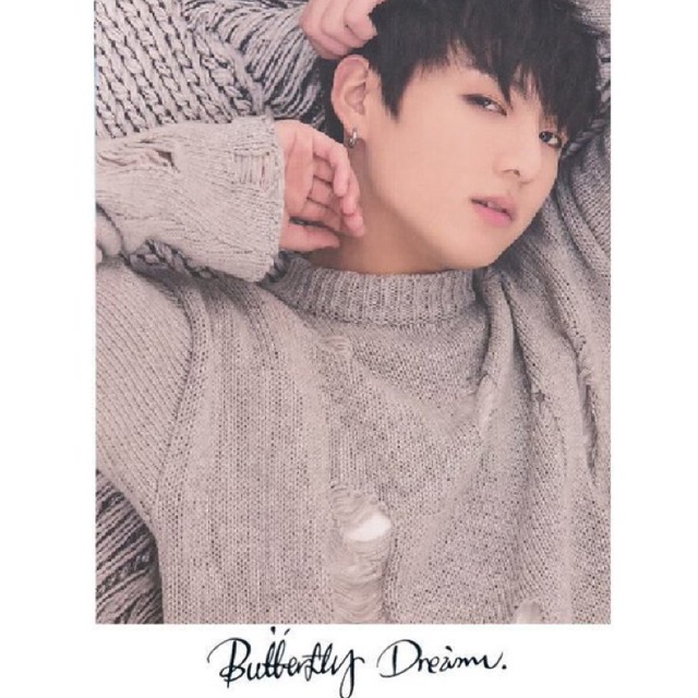 BTS BUTTERFLY DREAM JK