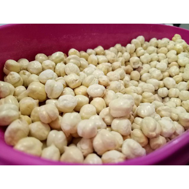 Kacang arab Super ukuran 1 kg