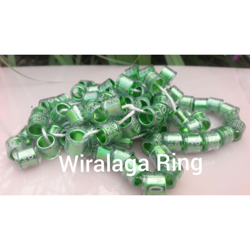RING IMPORT MERPATI .
