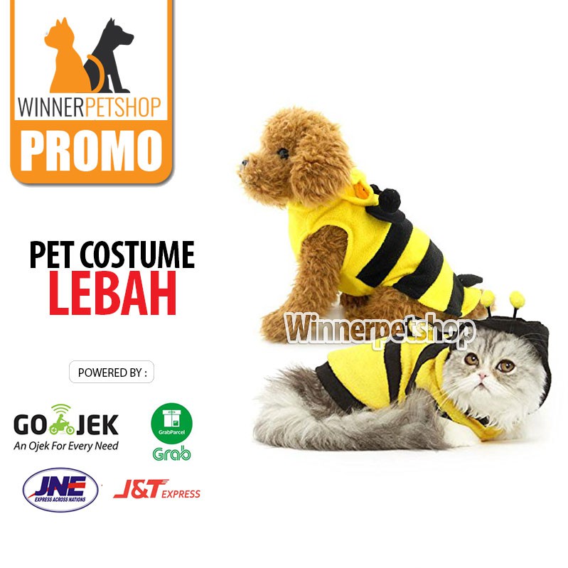 Baju Lebah (Untuk anjing / Kucing ) Baju Kucing Baju Anjing