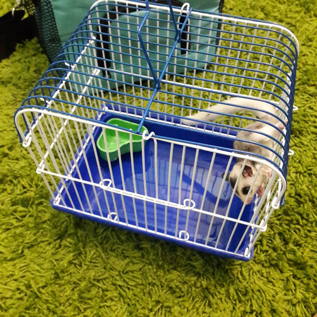 ADEWAP GLIDER Kandang Kecil Sugar Glider Hamster Landak Mini