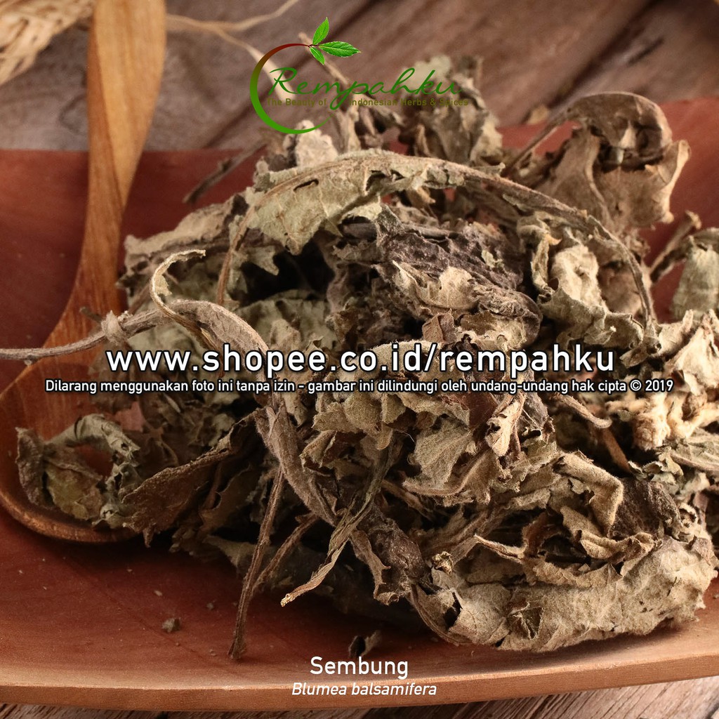 

Rempahku - Daun SEMBLING 100gr Daun Sembung Kering Ramuan Herbal Jamu