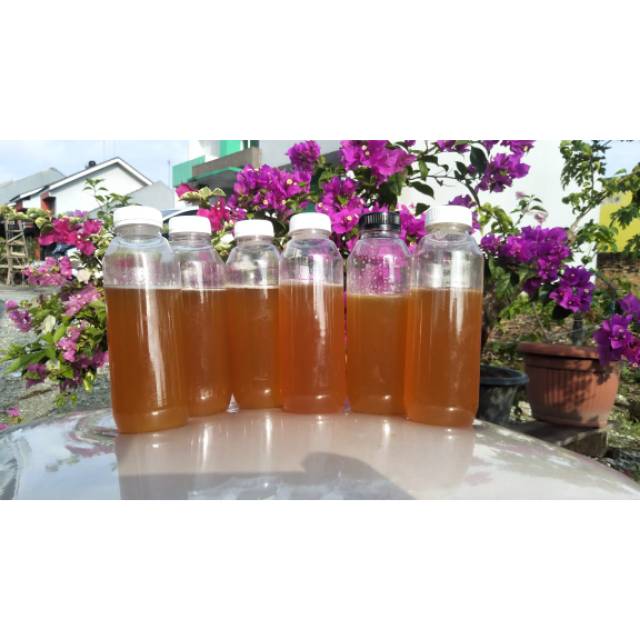 

Madu sialang 40gr