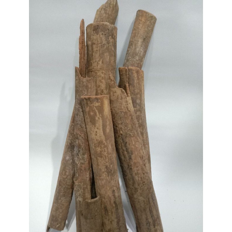 

masoyi /kulit kayu masoyi
