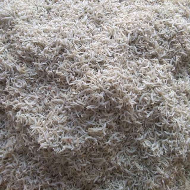 

Teri nasi Medan high quality