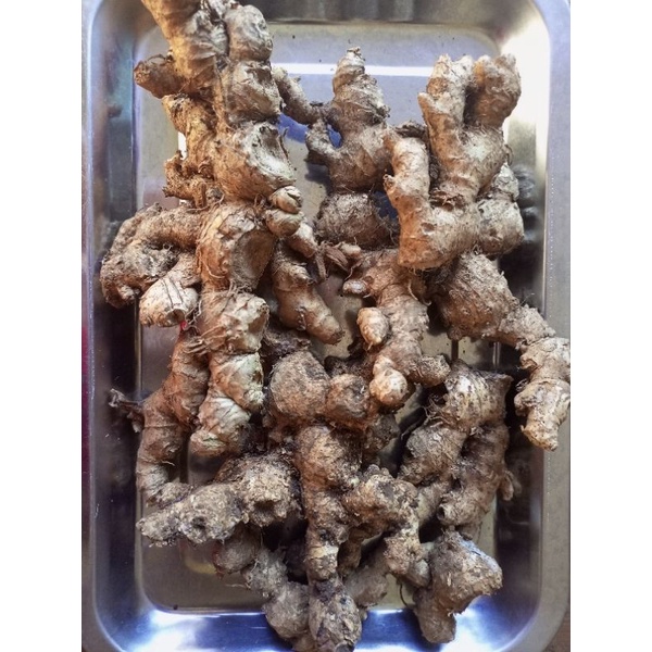 

JAHE BUMBU REMPAH / JAHE BUMBU DAPUR / JAHE EMPRIT
