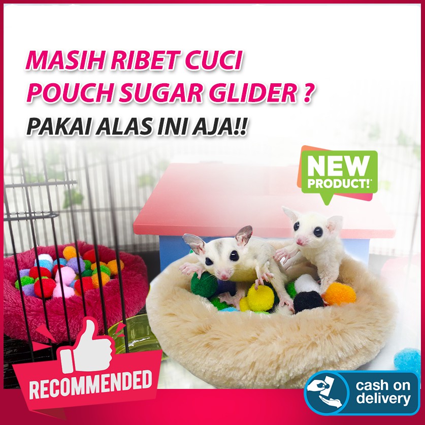 ADEWAP GLIDER Kasmir Kasur Sugar Glider Sleeping Pad Bulat Tempat Tidur Sugar Glider