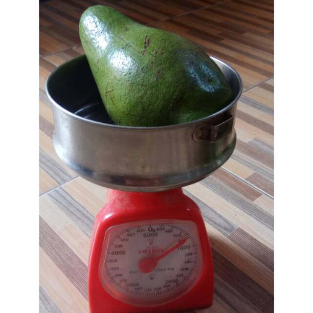 

Alpukat mentega super jumbo / buah alpukat segar