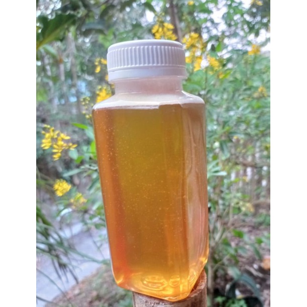 

Madu bunga kopi