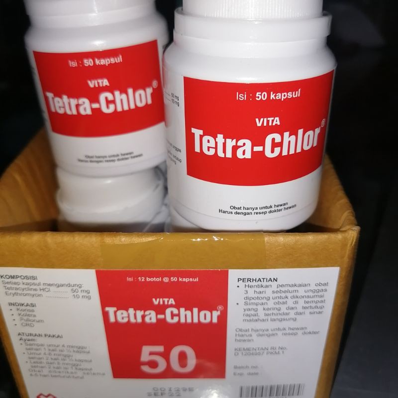 Obat Tetrachlor isi 50 kapsul tetracycline HCL cupang siknas kembung