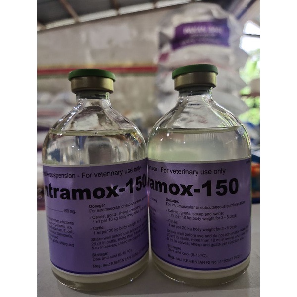 INTRAMOX-150 OBAT SUNTIK BABI