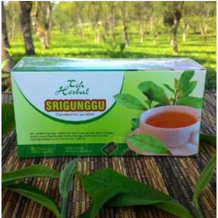 

Obat Herbal Teh Celup mengobati gurah dan batuk berdahak dengan teh srigunggu alami tanpa efek samping