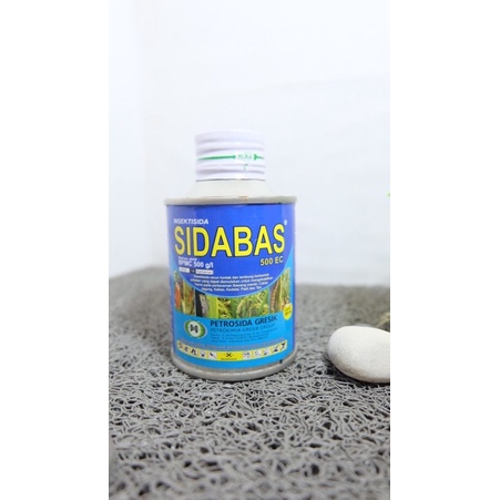 Sidabas 100ml Insektisida Pembasmi hama wereng,walang sangit