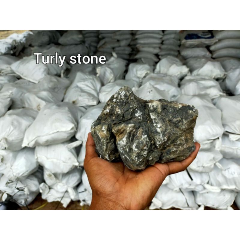 

(bandung)trulystone