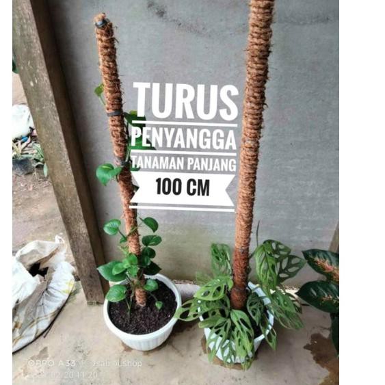 〔LVS〕 Turus Penyangga Tanaman 100 cm - Turus Penyangga Tanaman 1 Meter - Turus Tanaman Pipa Paralon