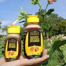 Madu Hutan Asli Murni Ruqyah Al Fillah