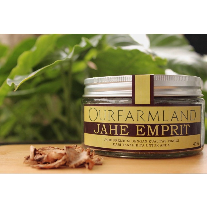 

Jahe Putih (Emprit)