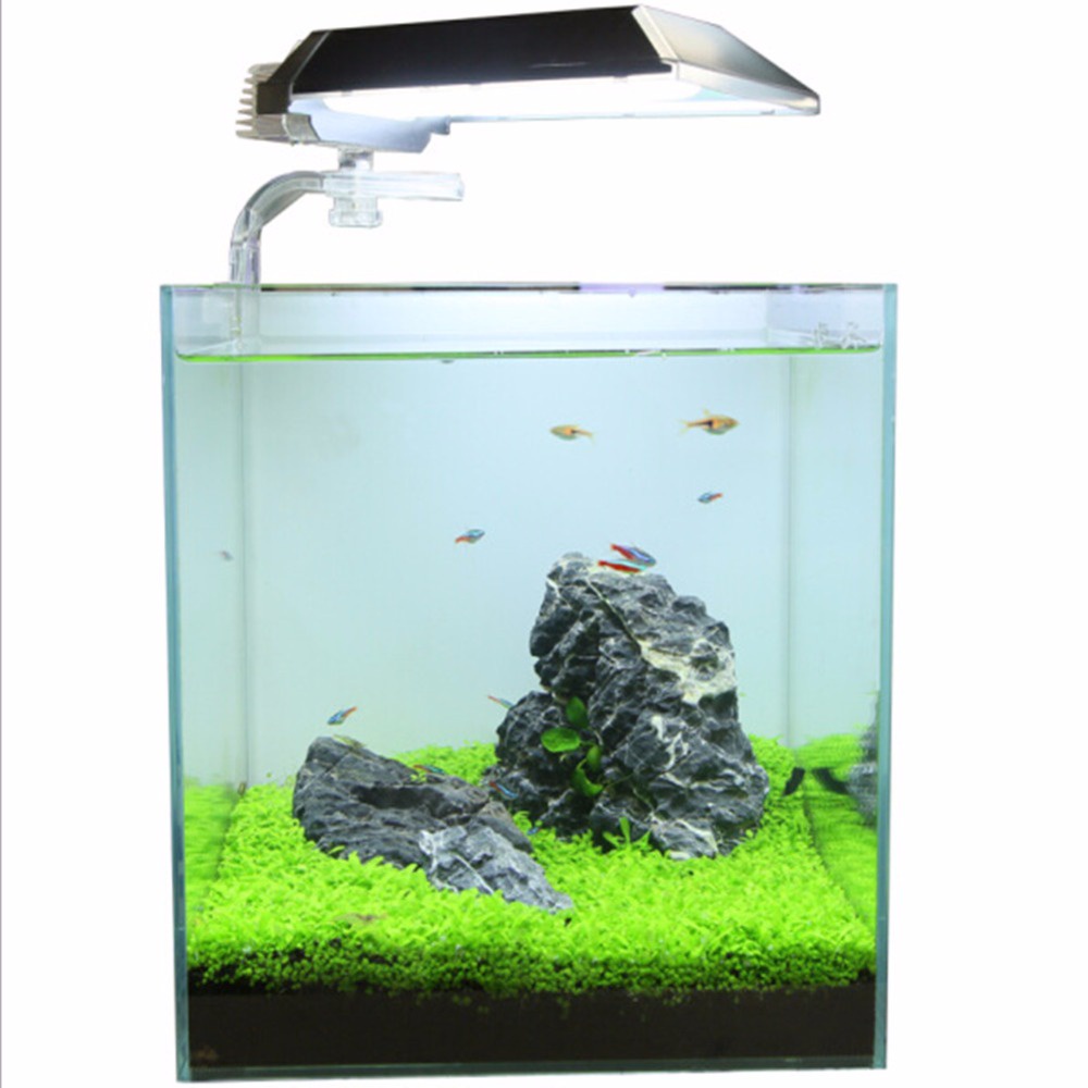 Bibit Rumput Air Aqua Scape Dekorasi Aquarium Landscape Ornament