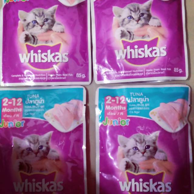 Whiskas junior , pakan kucing,makanan kucing