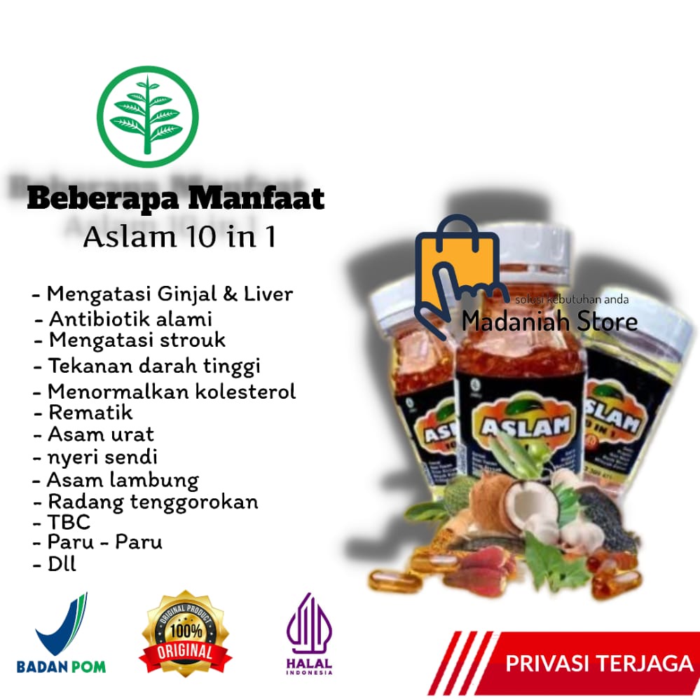 Habatussauda Aslam 10 in 1 Garlic buah merah propolis trigona habatussauda
