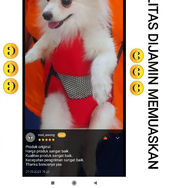 ✸ Gendongan kucing anjing depan kualitas premium / tas kucing gendongan depan belakang murah ukuran 