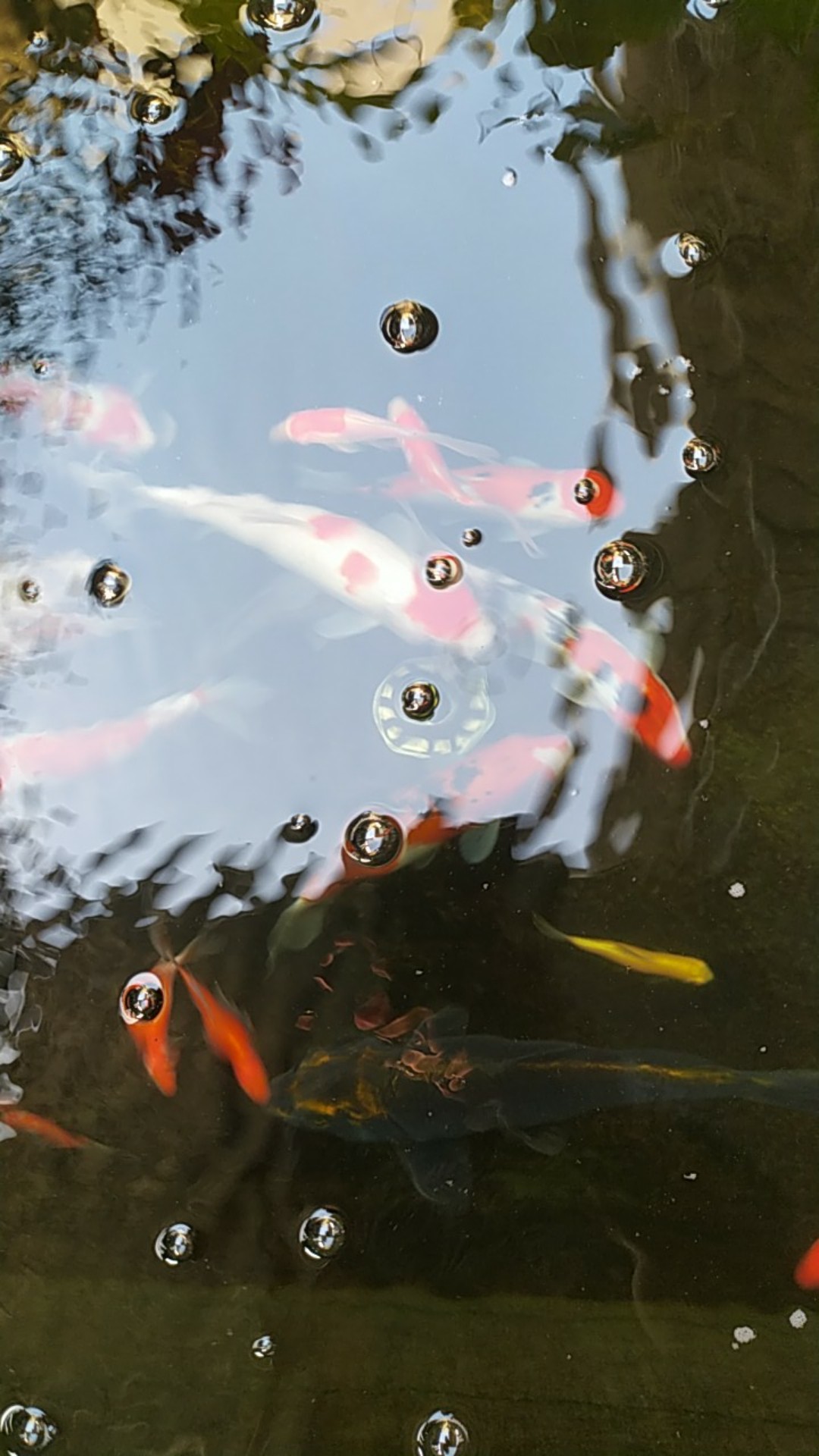 Roof Drain 2inch/ Saringan Talang Air