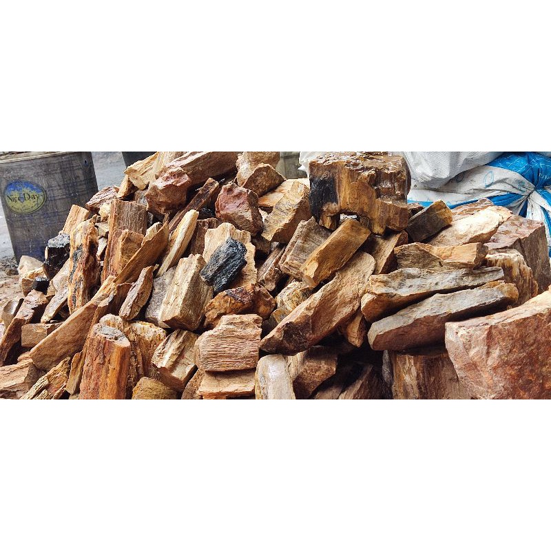 Batu Fosil Kayu Aquascape