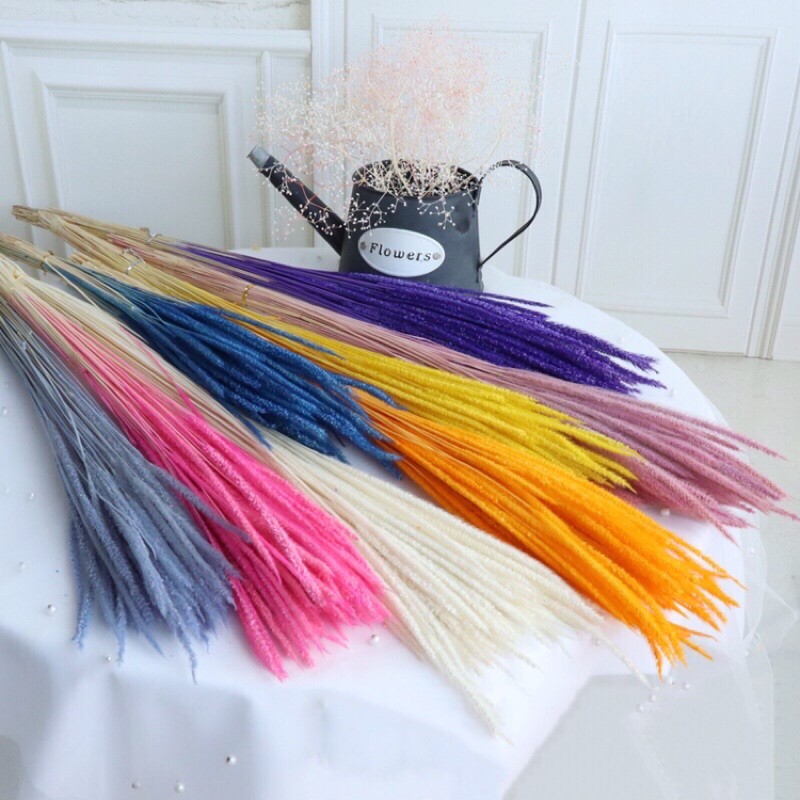 [5 BATANG] BUNGA OSON-OSON / ASONG-ASONG KERING DRIED OSON