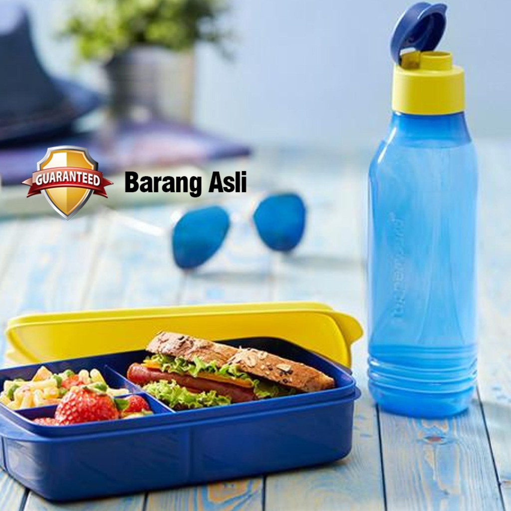 Tempat makan tupperware Cool Teen