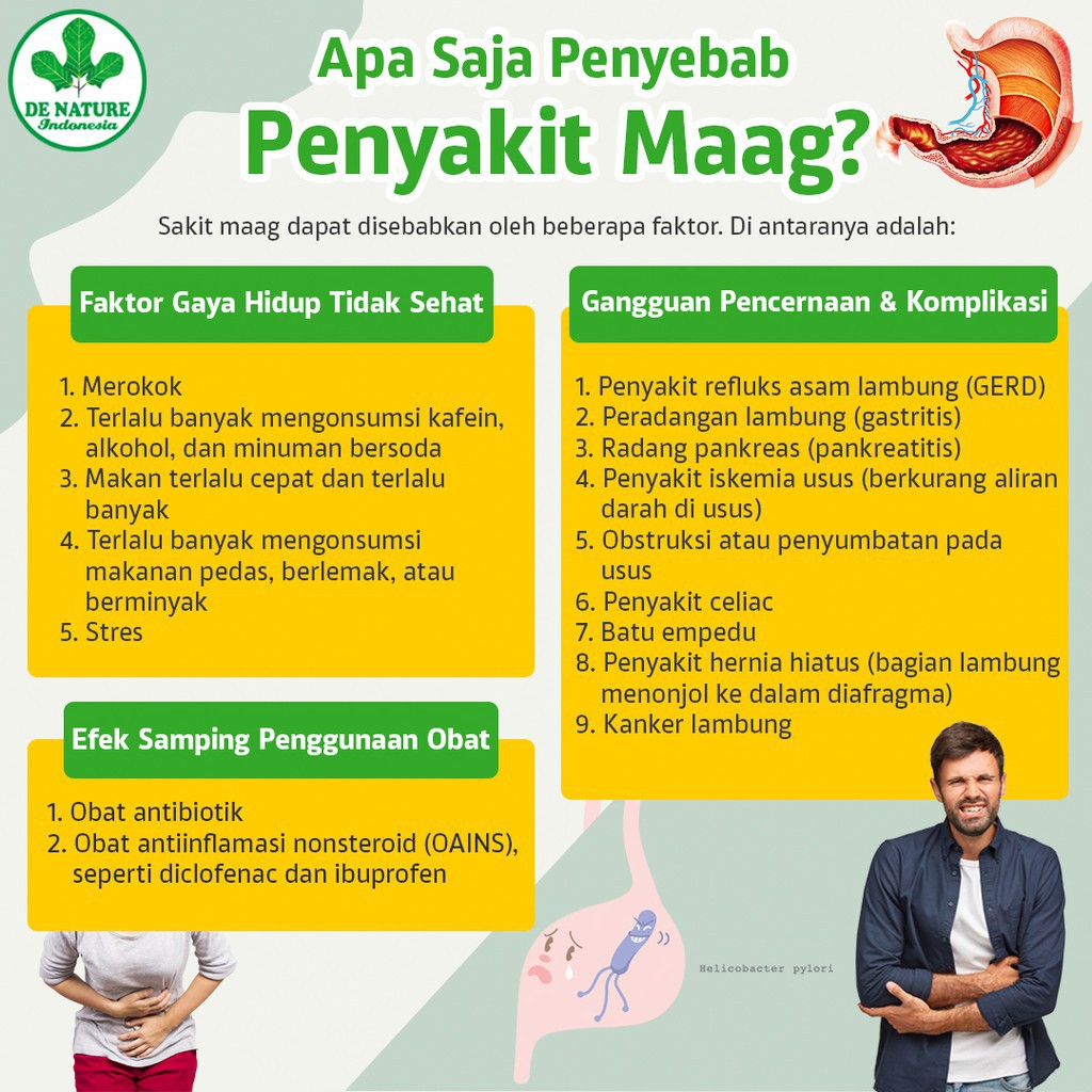 MORINGA Obat Herbal DE NATURE untuk membantu meredakan nyeri sendi, maag Kronis dan Asam lambung-3