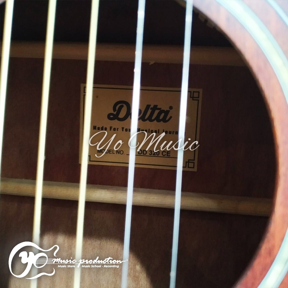 Delta Akustik Elektrik DD 320 CE Brown Exotic Original