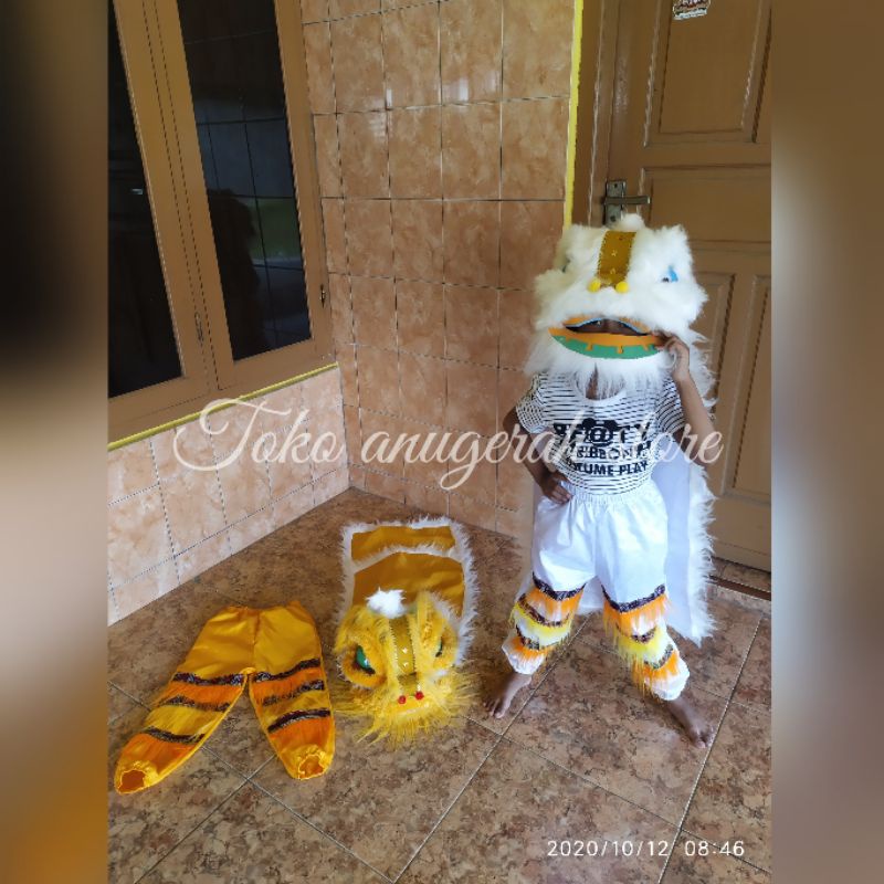 BARONGSAI PUTIH, BARONGSAI KUNING SETELAN