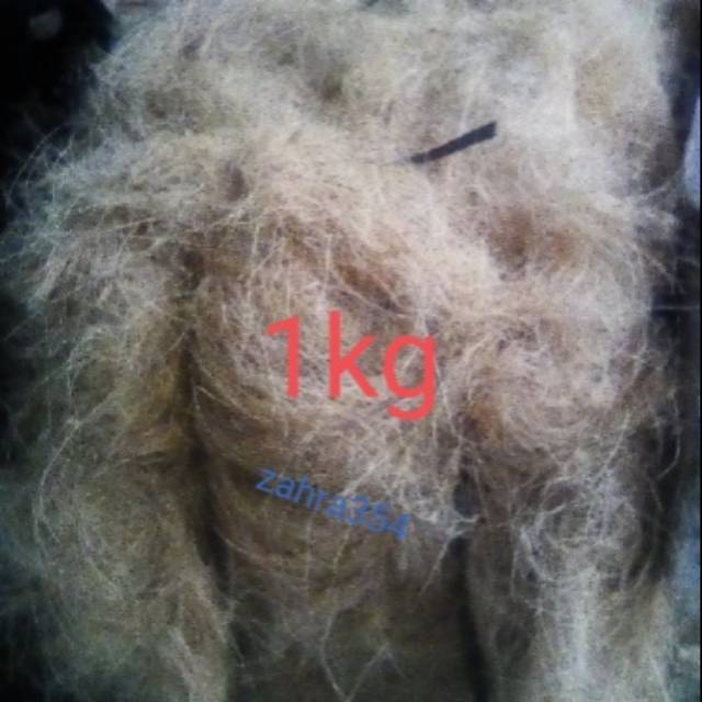 Coco Fiber 1kg // Sabut Kelapa // Ijuk Kelapa