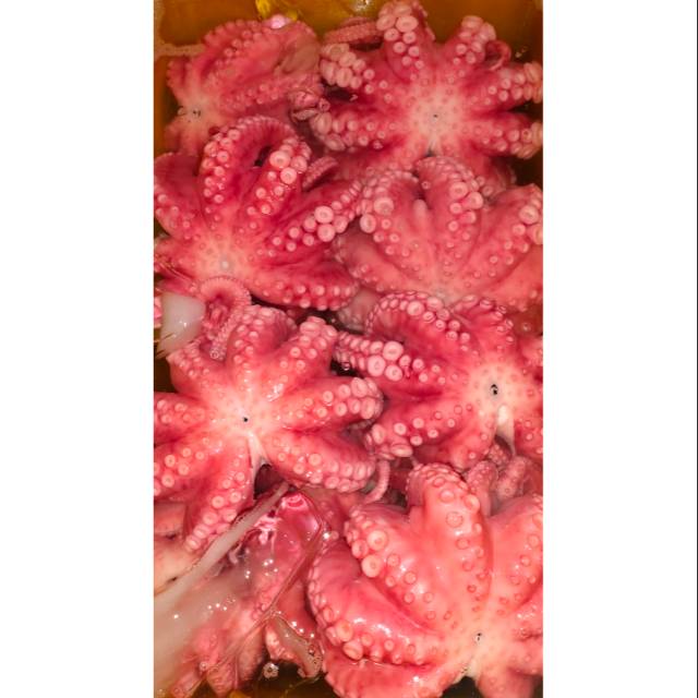 

Gurita sashimi tako sashimi octopus boild
