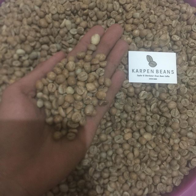 

Green bean coffee robusta single origin desa karang pendeta oku selatan sumsel