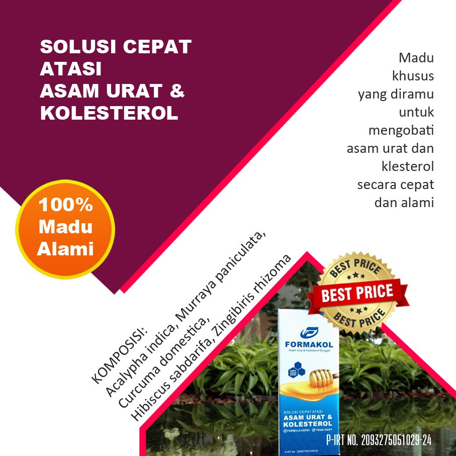 

JAMU HERBAL PEGAL- PEGAL KARENA GEJALA KOLESTEROL TINGGI PALING PATEN