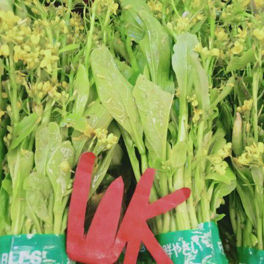 

Kembang Sawi Kembang Sosin Per Ikat